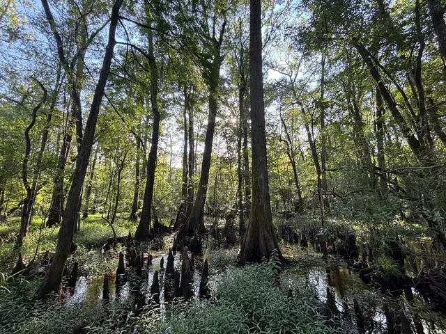 $749,900 | 57 Highway 57, Dillon, SC 29536