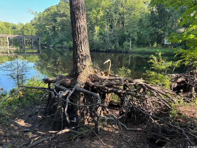 $749,900 | 57 Highway 57, Dillon, SC 29536