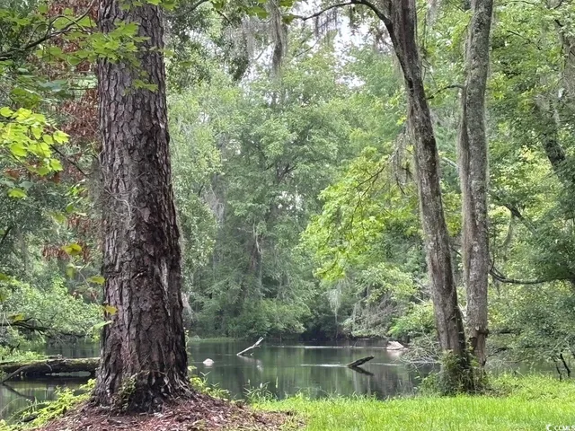 $749,900 | 57 Highway 57, Dillon, SC 29536