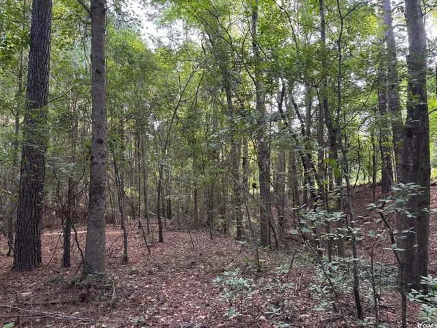 $749,900 | 57 Highway 57, Dillon, SC 29536