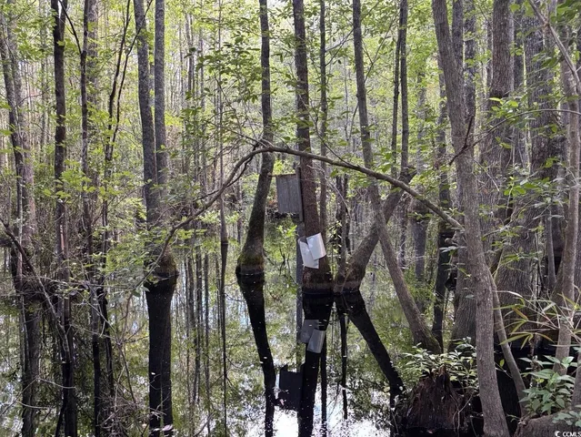 $749,900 | 57 Highway 57, Dillon, SC 29536