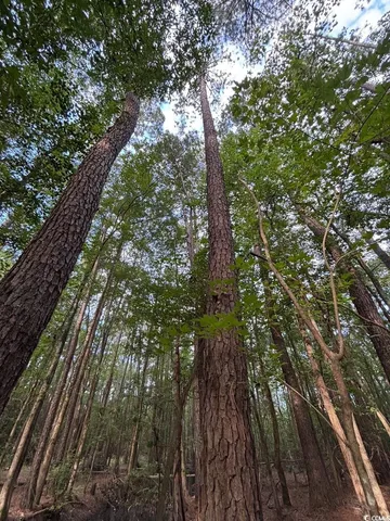 $749,900 | 57 Highway 57, Dillon, SC 29536