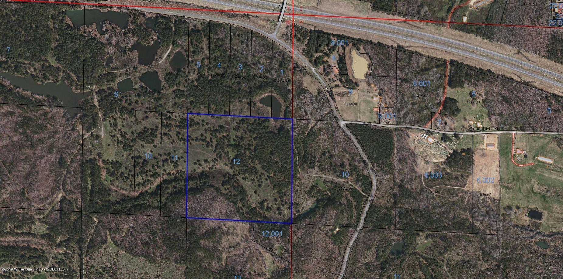 Homestead Road Eldridge, AL 35554 - Photo 1 of 1 Gallery Image 1