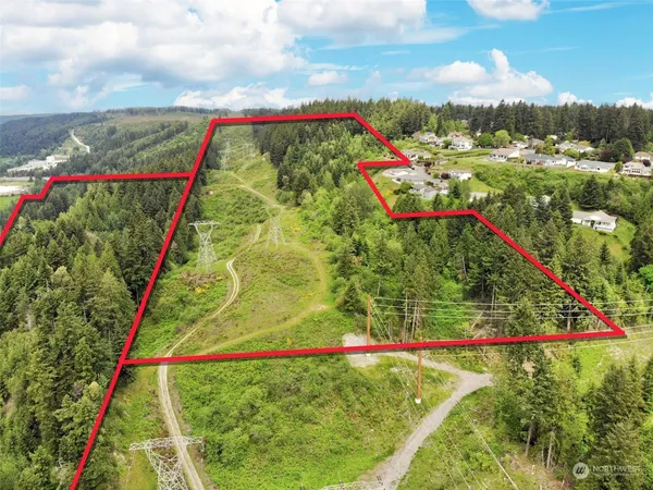 a green field with lots of trees in the background