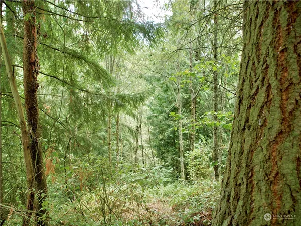 $299,900 | 7814 176th Ave Court East, Unit A, Bonney Lake, WA 98391