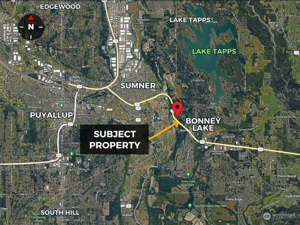 a view of a yard with plants and large trees