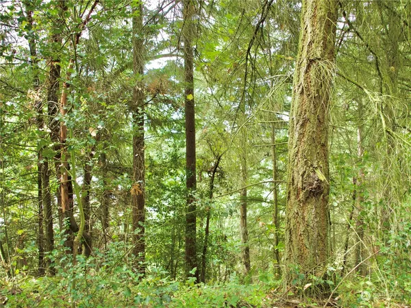 a view of a lush green field