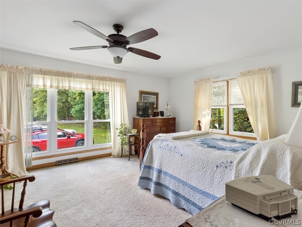1345 Stavemill Road Powhatan, VA 23139 - Photo 16 of 41 Spacious owners suite with picture window, ceiling