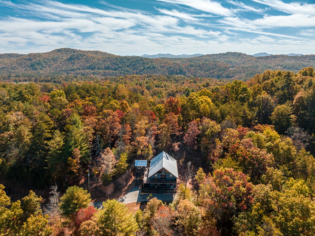 42 Old Jerusalem Road Morganton, GA 30560 - Photo 60 of 61 a view of lake and mountain