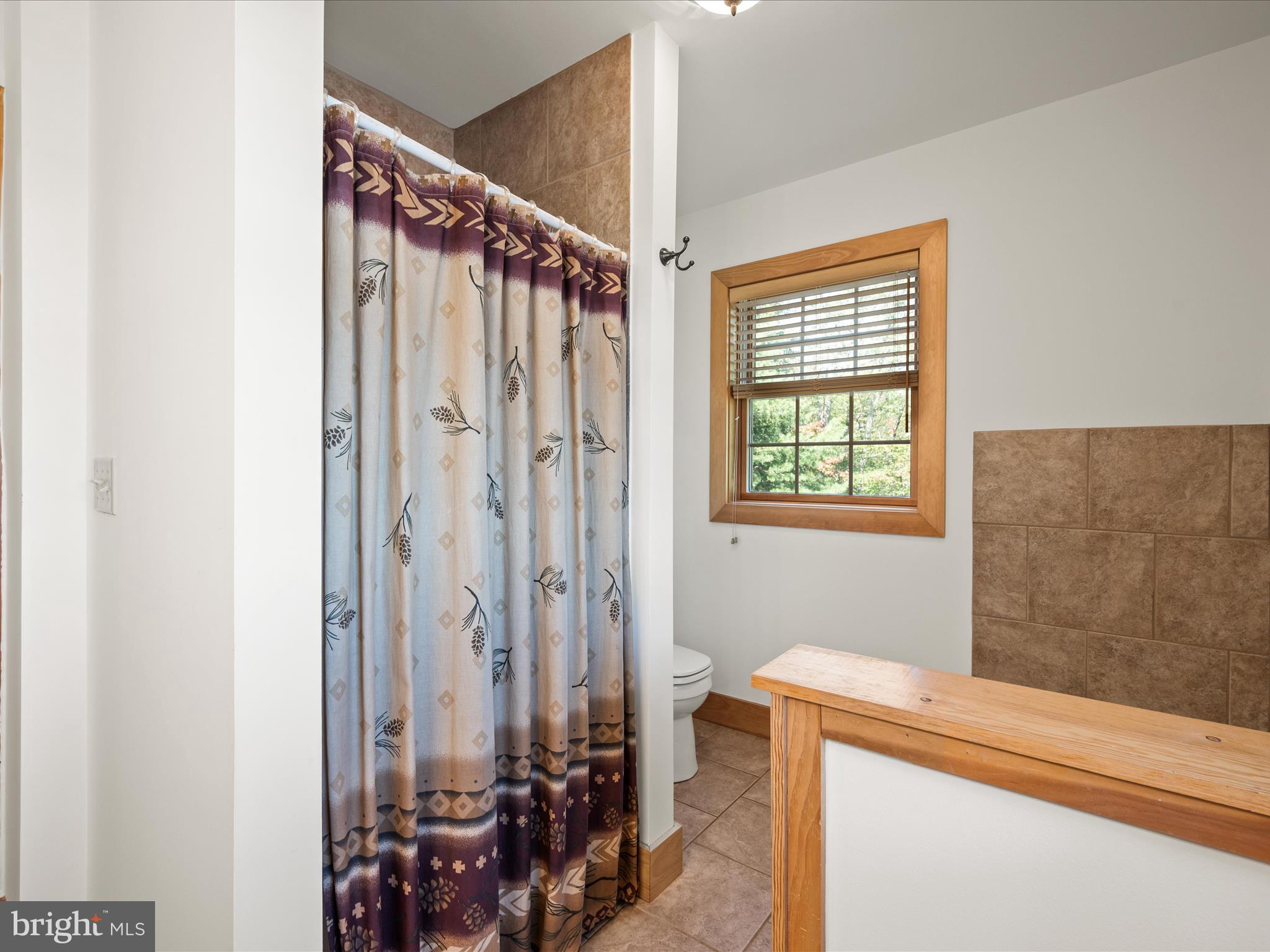 1294 Butternut Drive Yellow Spring, WV 26865 - Photo 26 of 61 Primary Bathroom