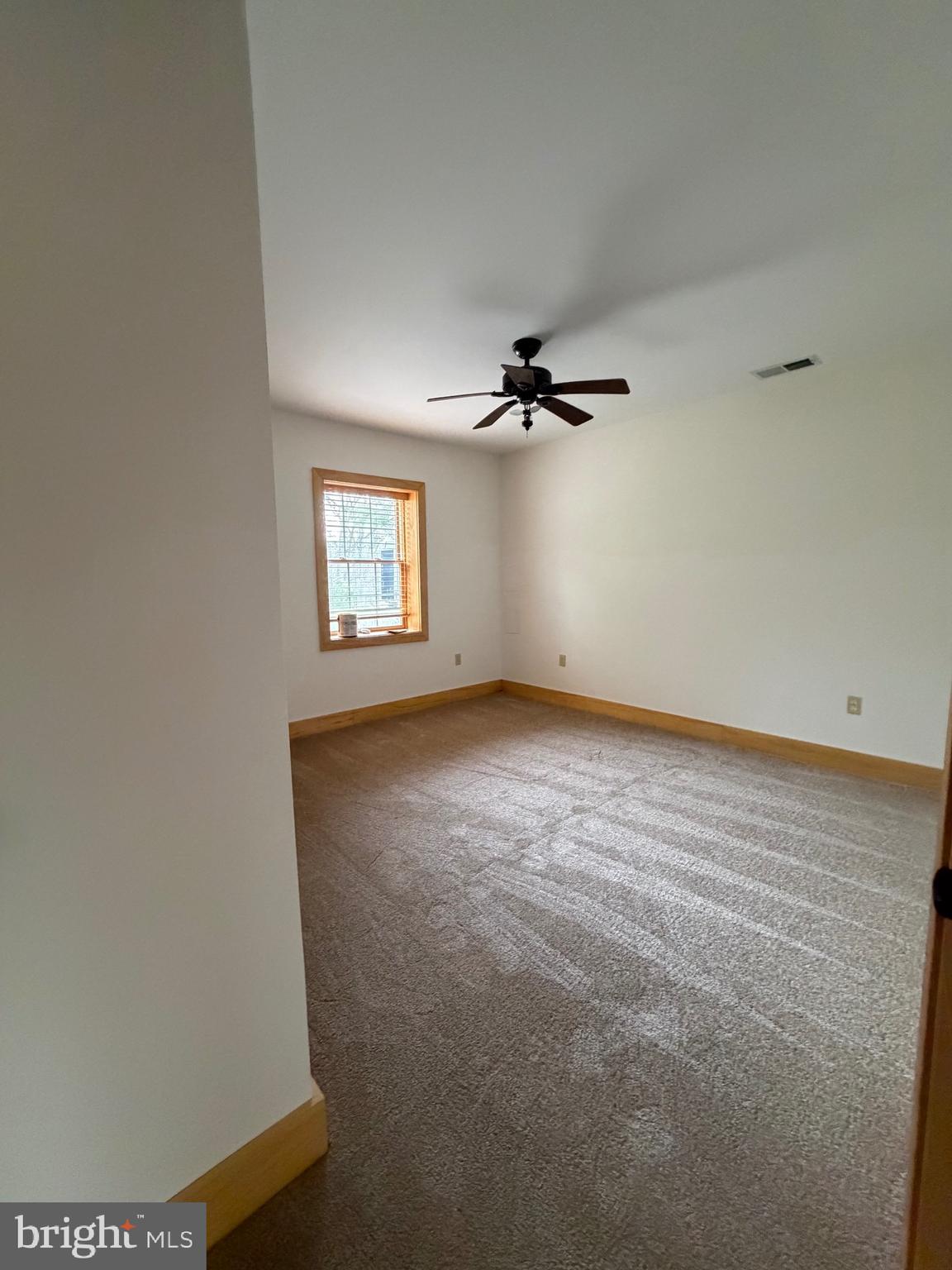 1294 Butternut Drive Yellow Spring, WV 26865 - Photo 44 of 61