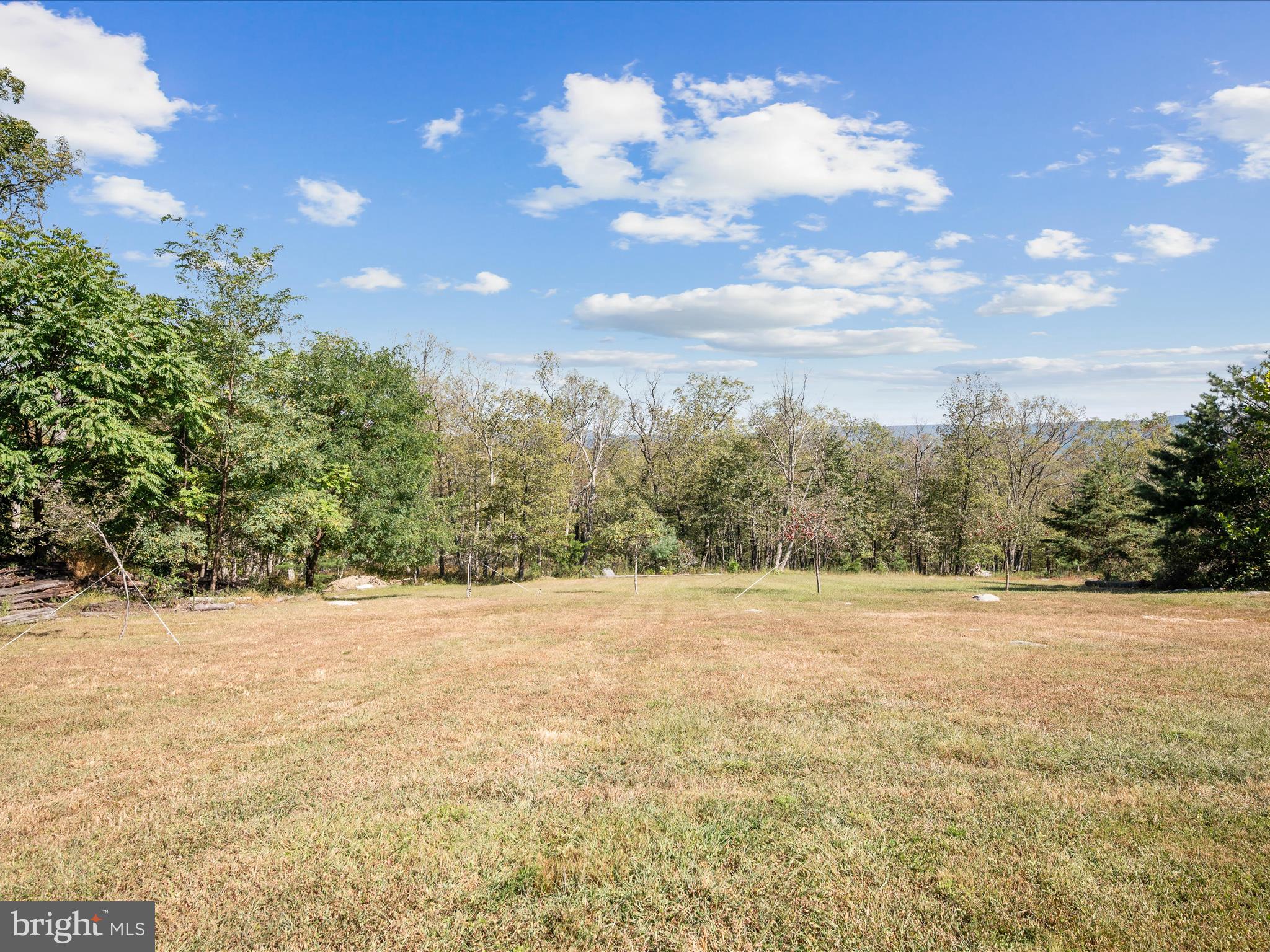 1294 Butternut Drive Yellow Spring, WV 26865 - Photo 52 of 61 Backyard