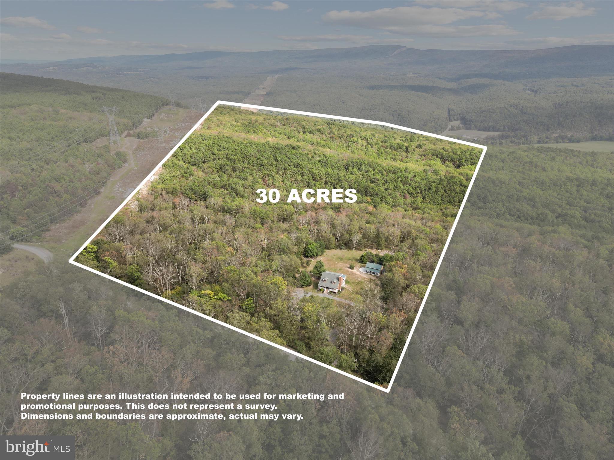 1294 Butternut Drive Yellow Spring, WV 26865 - Photo 10 of 61 30.17 AC total