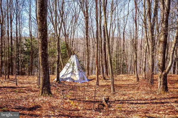 $770,000 | 1405 Ball Pond Road, Thompson, PA 18465