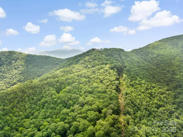 $2,700,000 | 2200 Camp Branch Road, Waynesville, NC 28786