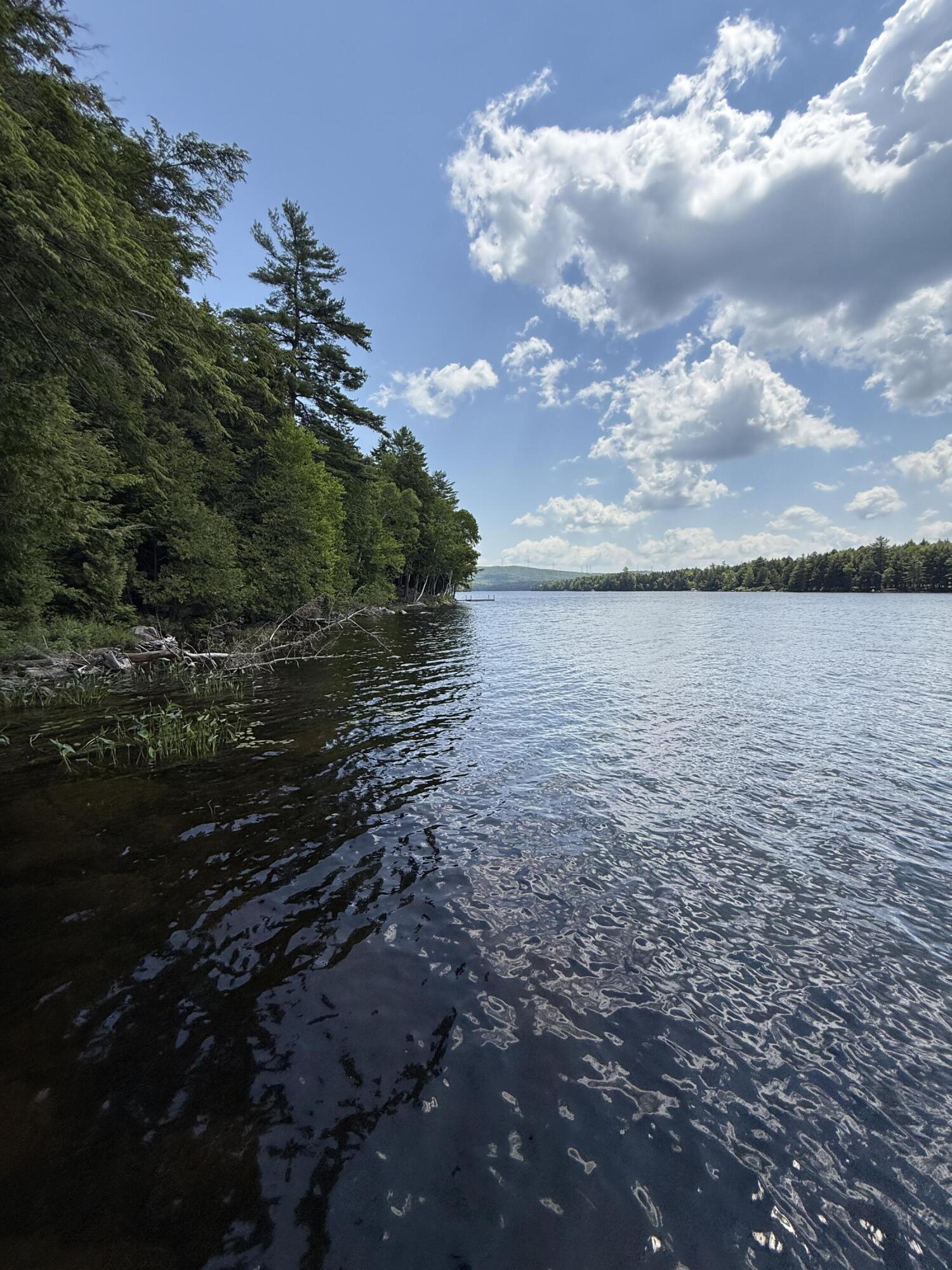 1750 Houston Road Lincoln, ME 04457 - Photo 11 of 31 IMG_7997