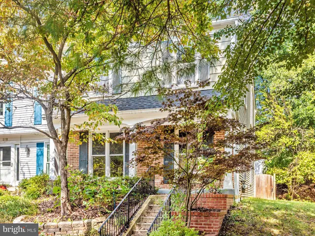 a view of a garden with plants