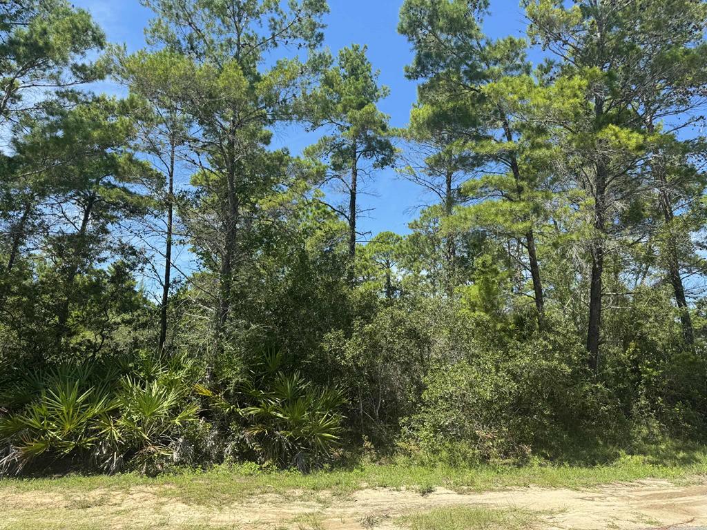 208 Woodill Road Carrabelle, FL 32322 - Photo 11 of 18 Gallery Image 11