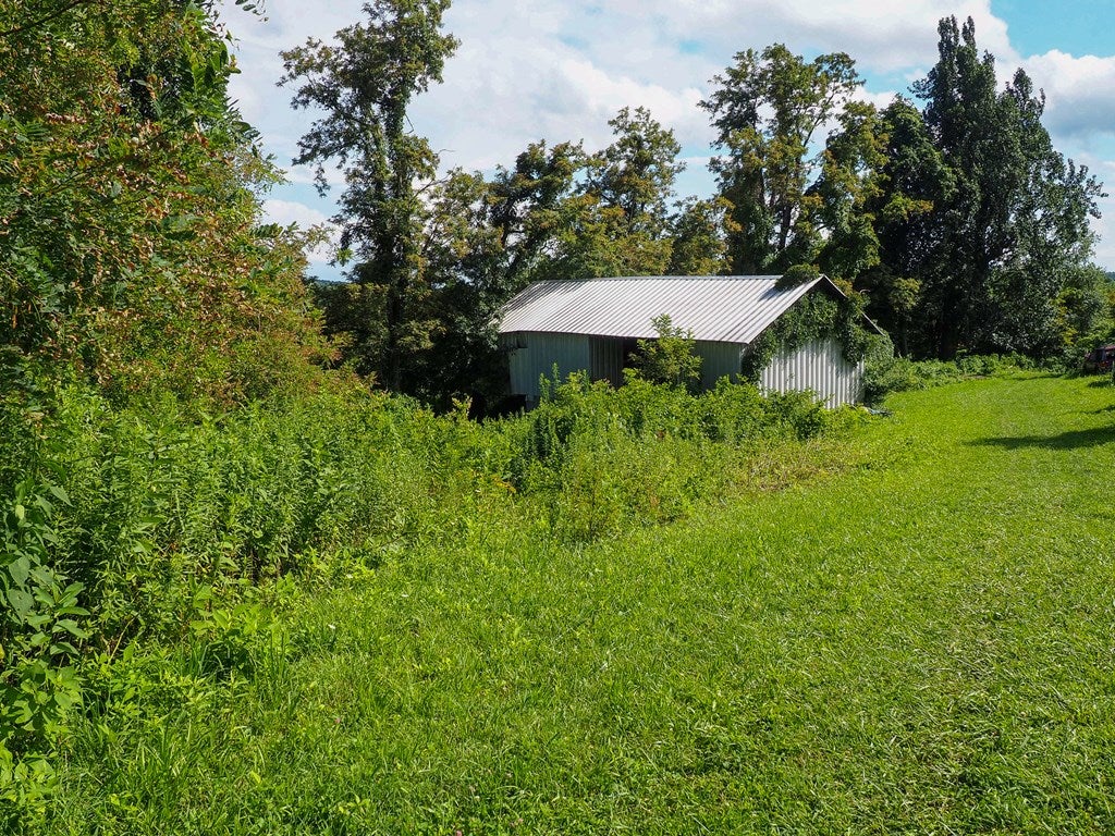 Tbd State Shed Road, Unit 99 Meadows Of Dan, VA 24120 - Photo 4 of 14 Gallery Image 4