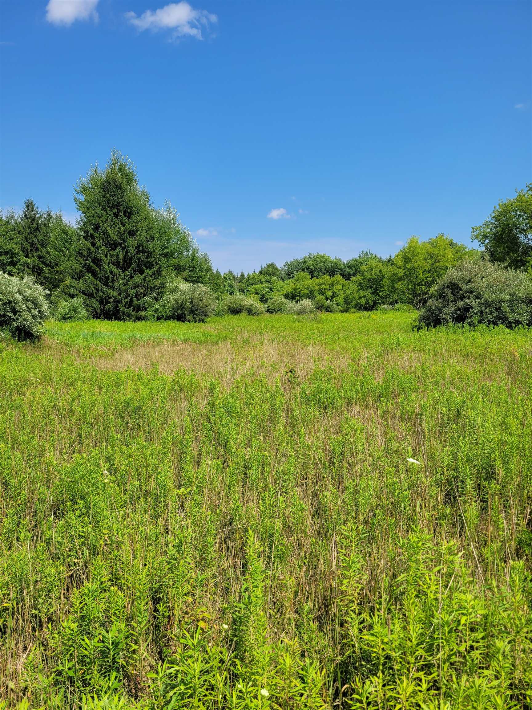 Tbd East Tbd E Edgar Road Vestaburg, MI 48891 - Photo 11 of 12