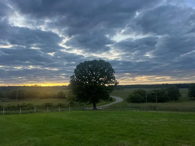 $565,000 | Y Highway, Birch Tree, MO 65438