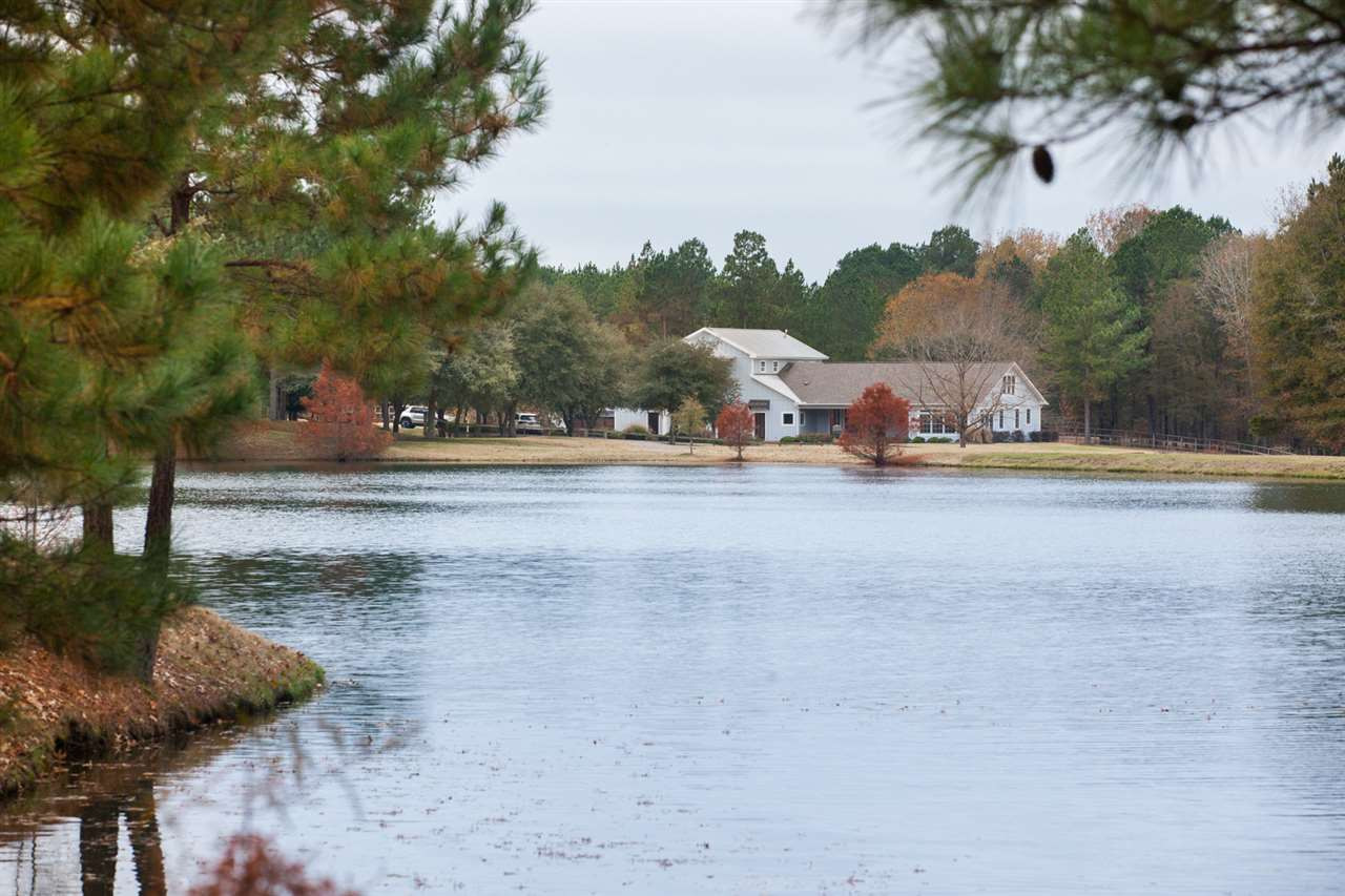 152 Grace Lane Flora, MS 39071 - Photo 44 of 50 Photo 44