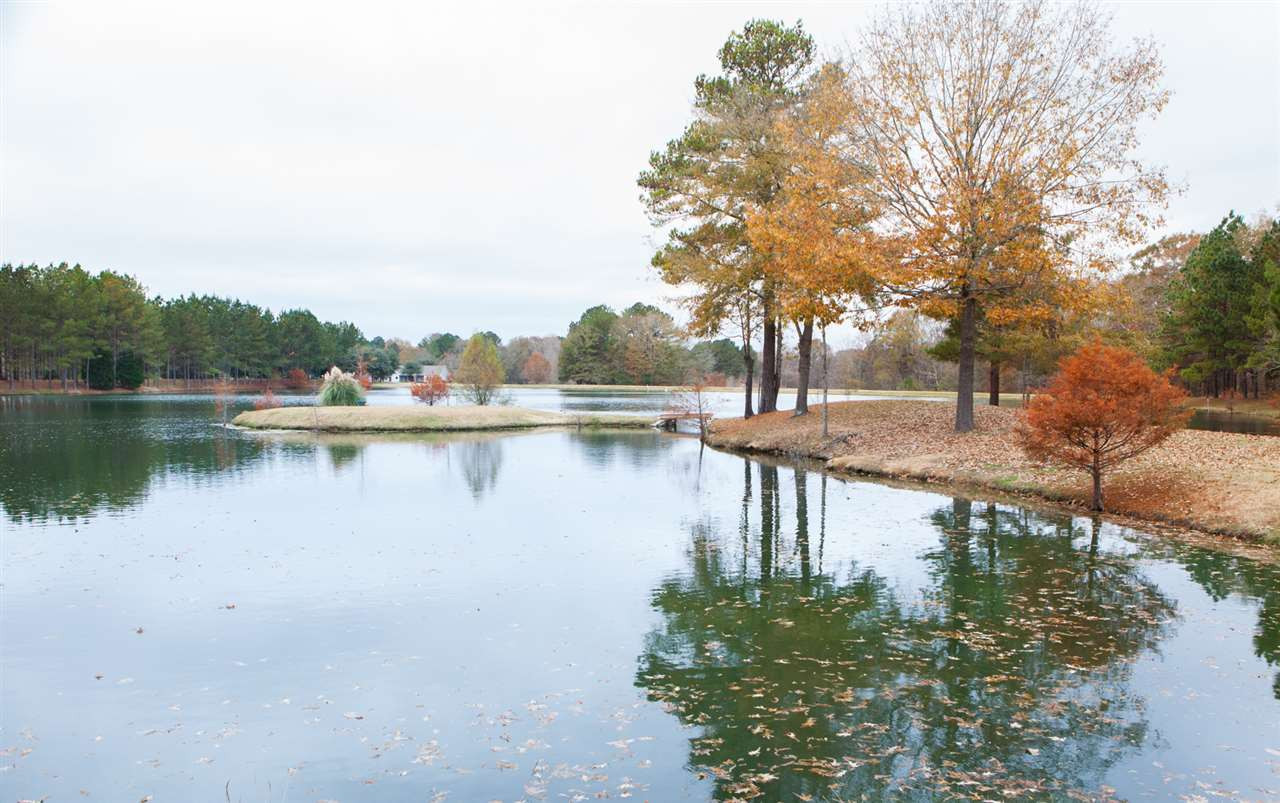 152 Grace Lane Flora, MS 39071 - Photo 46 of 50 Photo 46