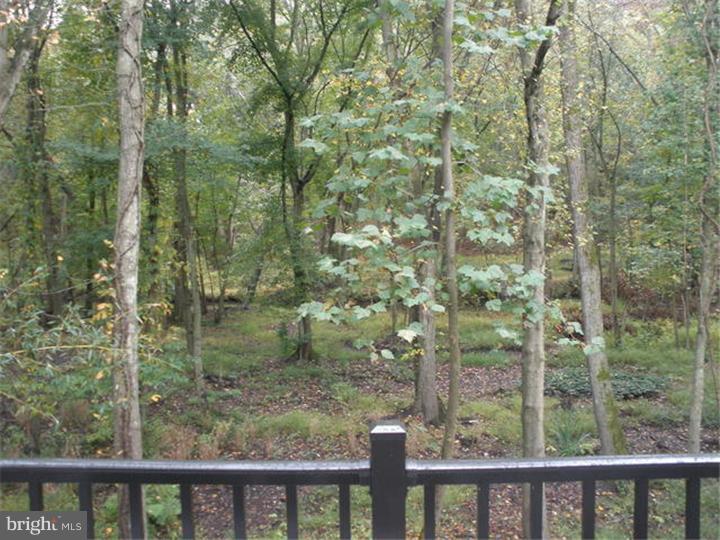 128 Cranbury Road Princeton Junction, NJ 08550 - Photo 13 of 25 a view of a forest from a balcony