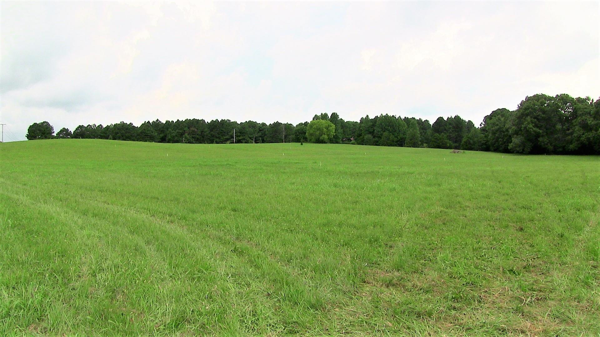 4 Academy Road Lebanon, TN 37087 - Photo 2 of 20 a view of field with river