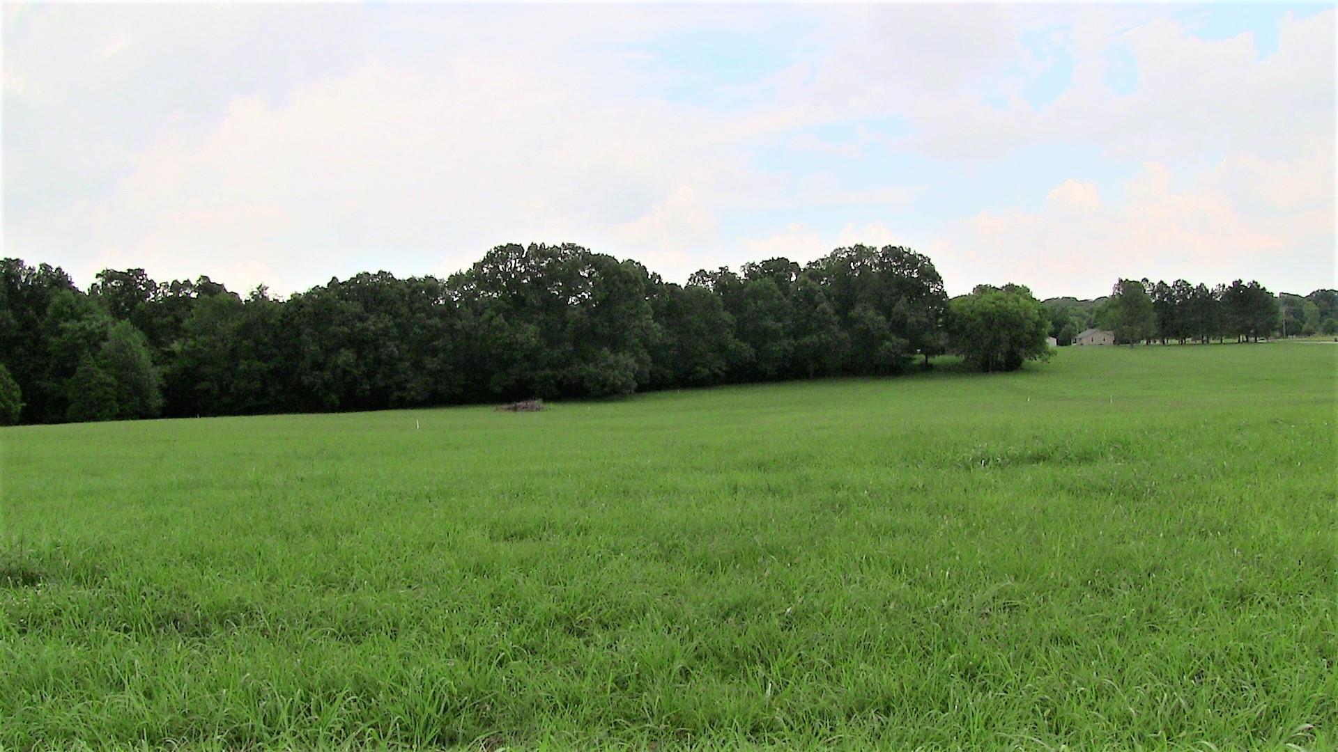4 Academy Road Lebanon, TN 37087 - Photo 8 of 20 a view of a grassy field