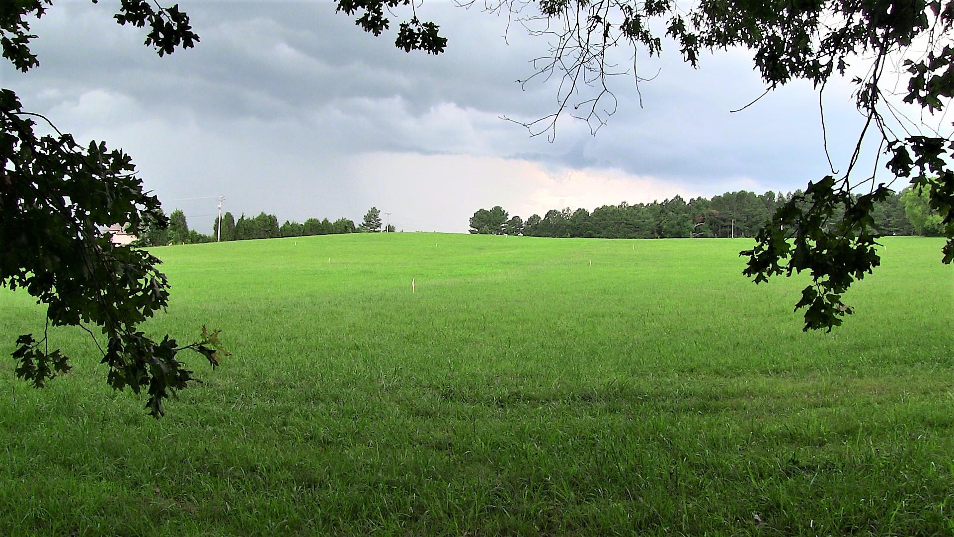 4 Academy Road Lebanon, TN 37087 - Photo 10 of 20 a view of a field of grass and trees