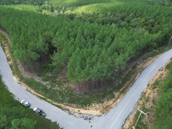 a view of a forest from a balcony