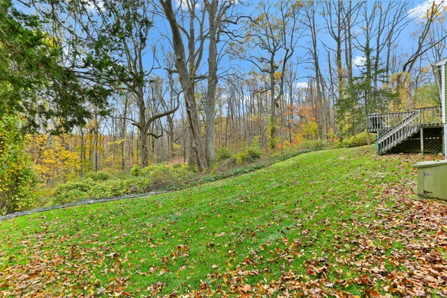 a view of a yard with large trees
