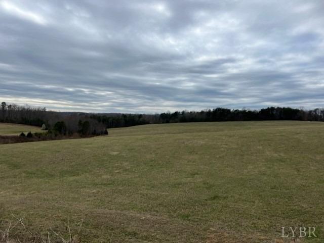 0 Cemetery Road Hurt, VA 24563 - Photo 1 of 15