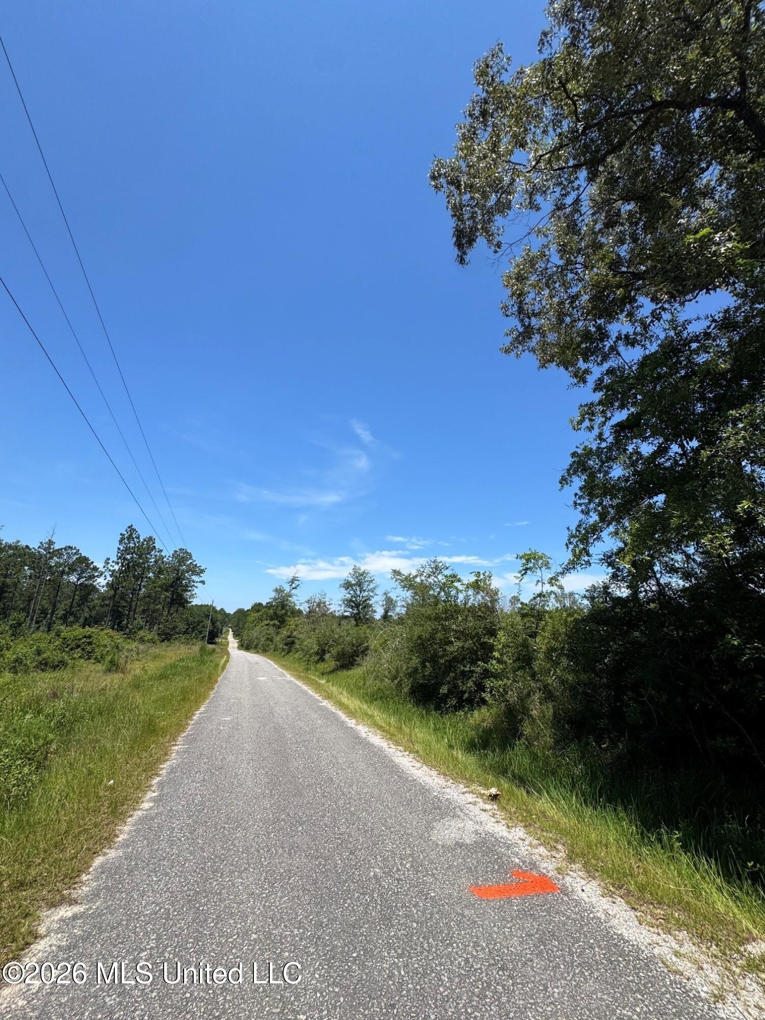 1 Dubose Road Lumberton, MS 39455 - Photo 4 of 5 Lot1.2