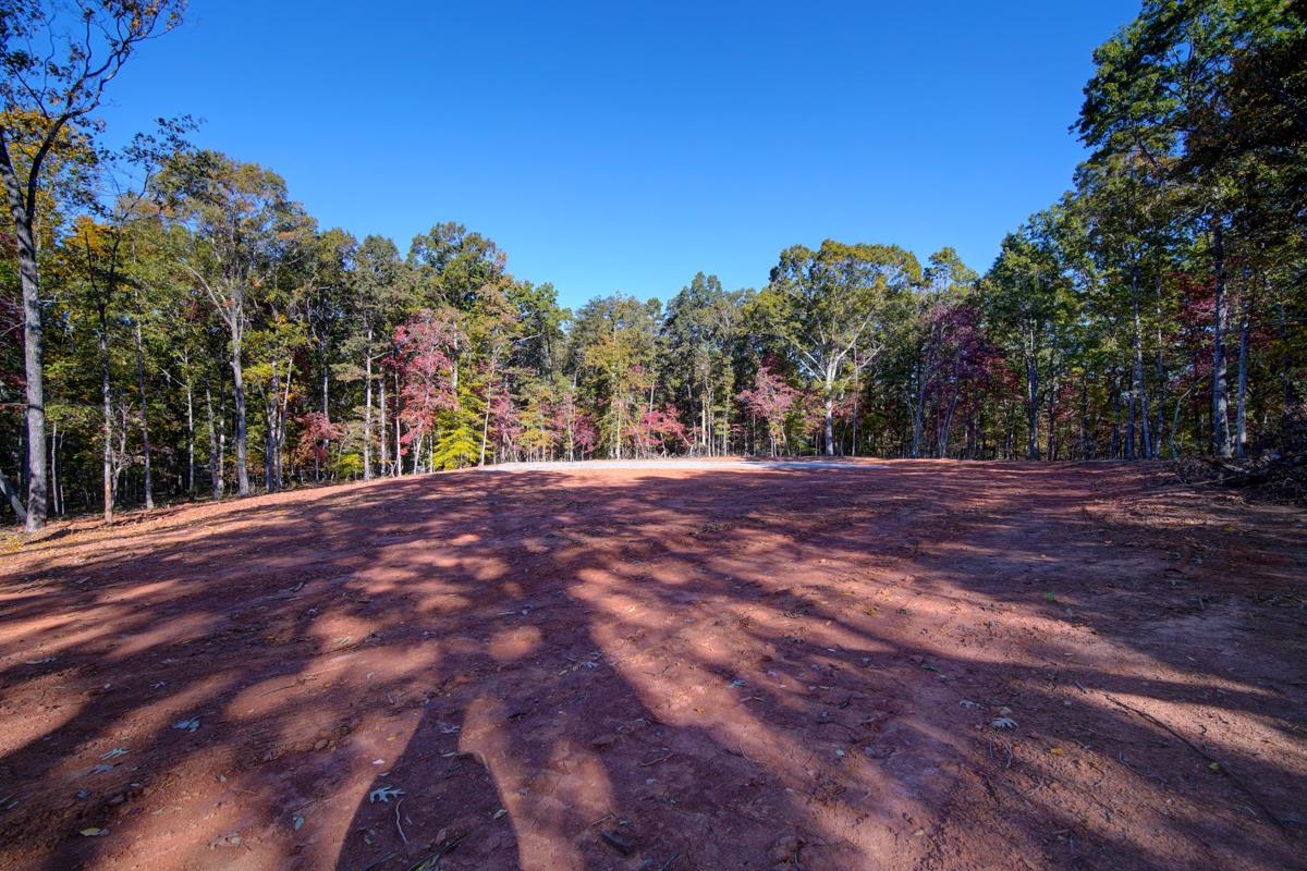 5340 Rainbow Lake Road Campobello, SC 29322 - Photo 12 of 19 Gallery Image 12