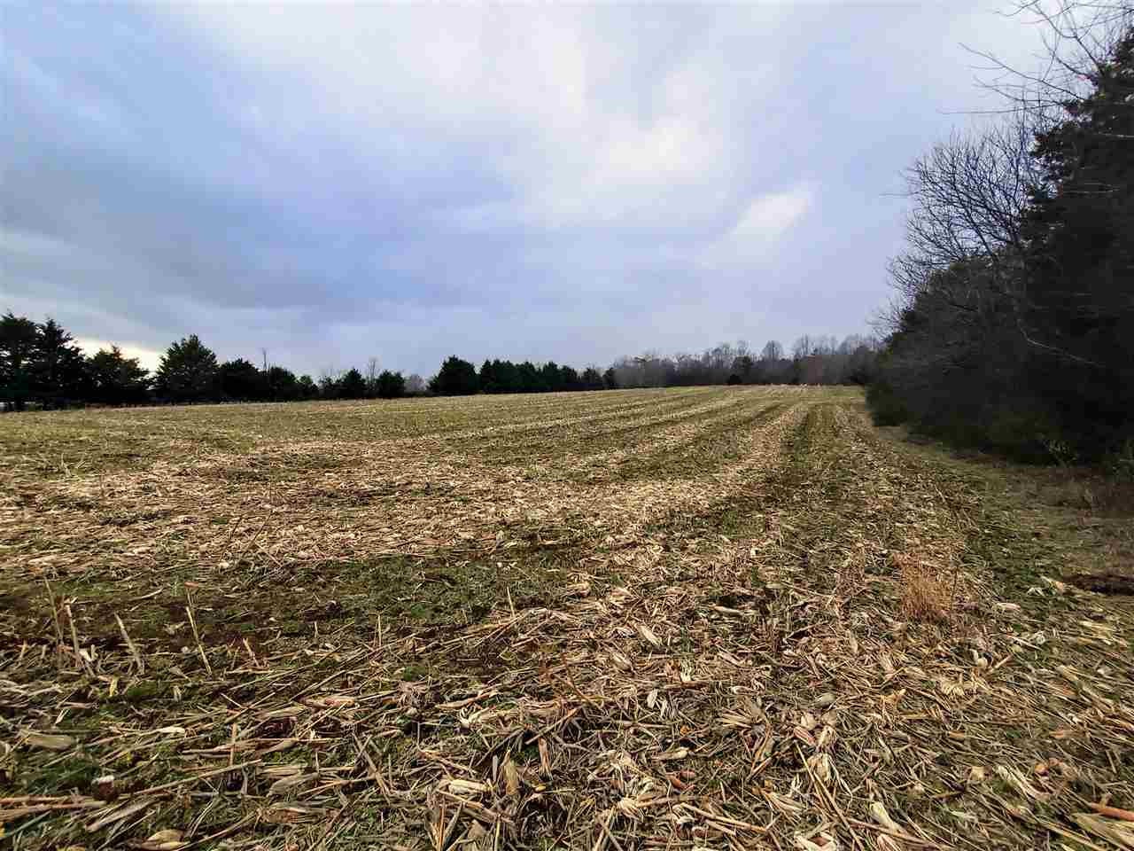 3484 Highway 11 Riceville, TN 37370 - Photo 3 of 5