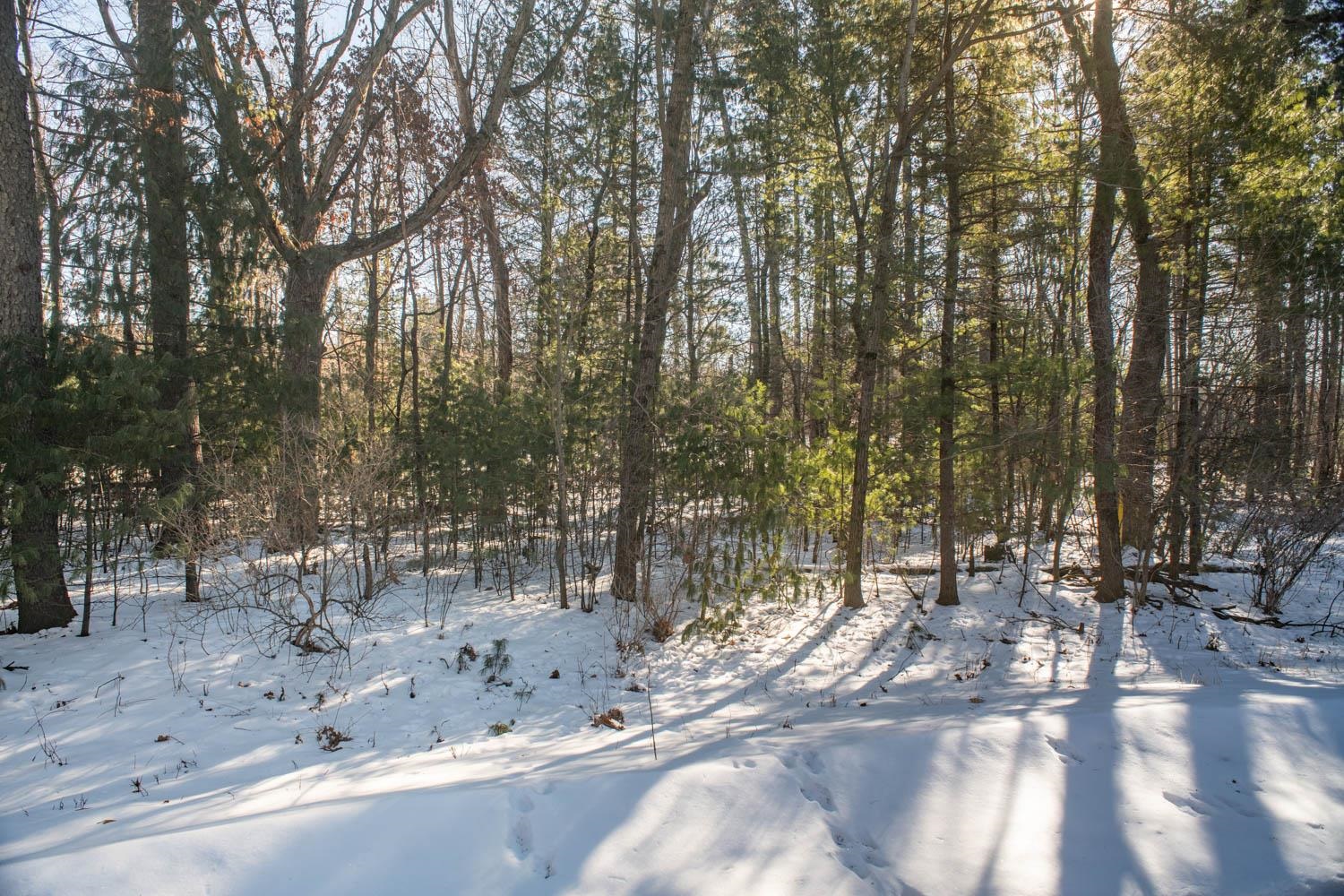 Stone Road, Unit 3 Wautoma, WI 54982 - Photo 14 of 49