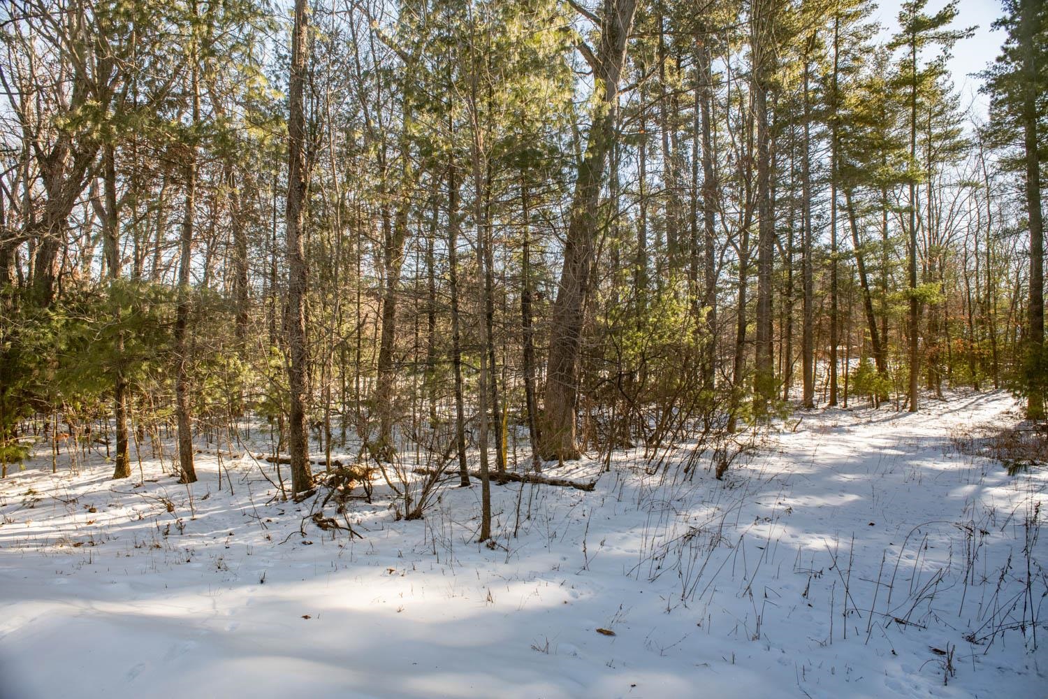 Stone Road, Unit 3 Wautoma, WI 54982 - Photo 15 of 49