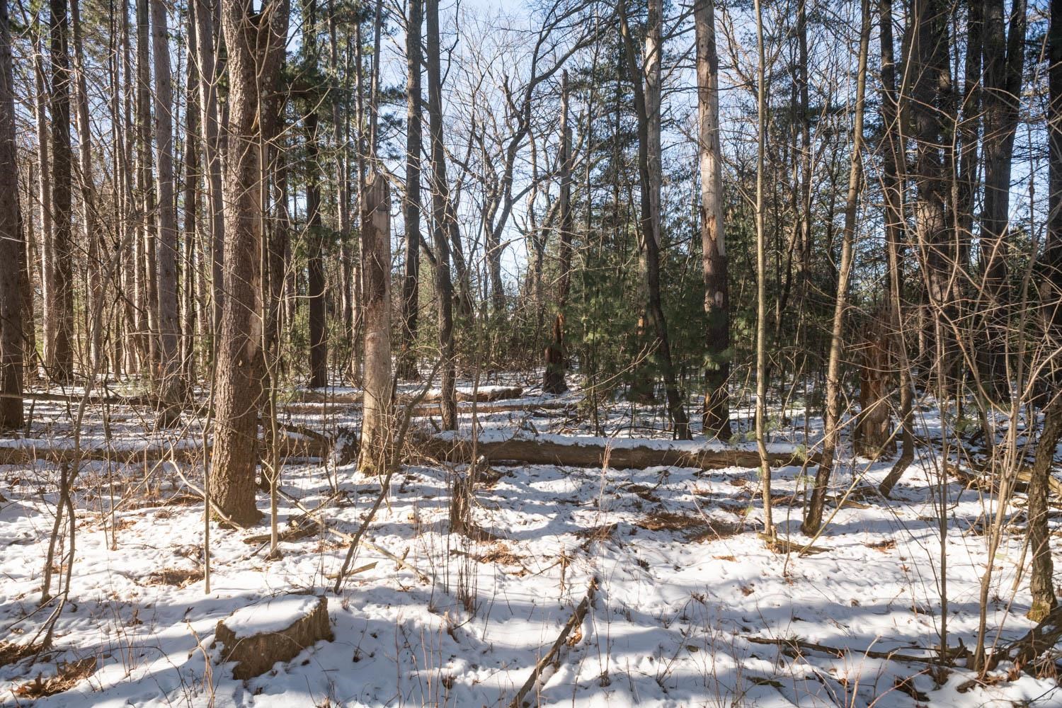 Stone Road, Unit 3 Wautoma, WI 54982 - Photo 18 of 49