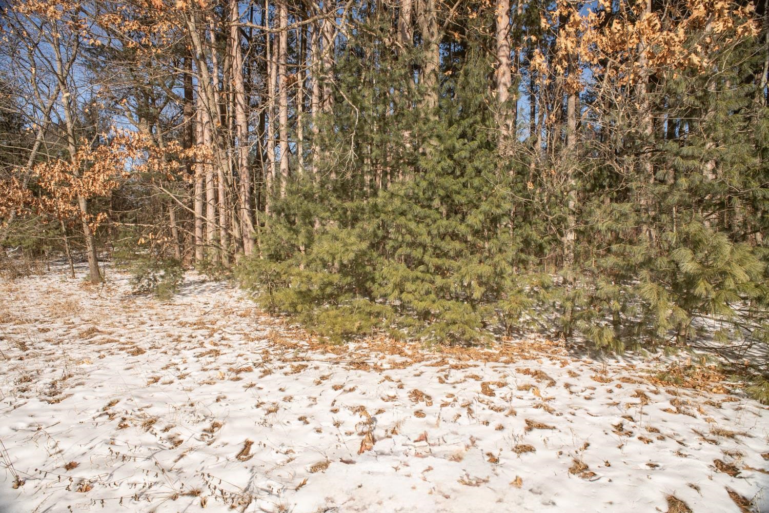 Stone Road, Unit 3 Wautoma, WI 54982 - Photo 25 of 49