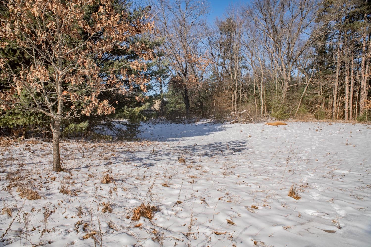 Stone Road, Unit 3 Wautoma, WI 54982 - Photo 28 of 49