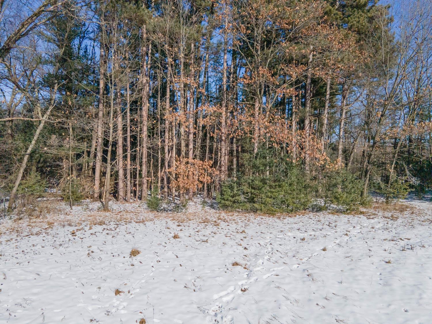 Stone Road, Unit 3 Wautoma, WI 54982 - Photo 4 of 49