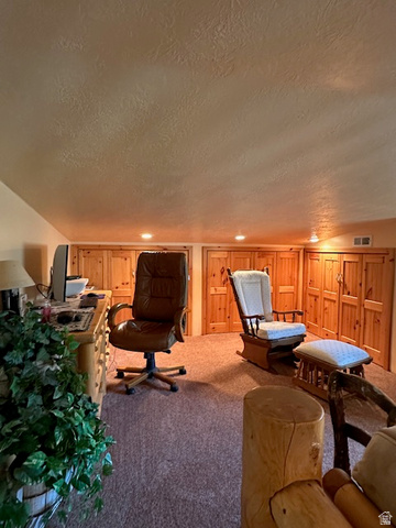 1454 East Little Sweden Road Heber City, UT 84032 - Photo 24 of 35 Living room featuring carpet floors, a textured ceiling, and wooden walls