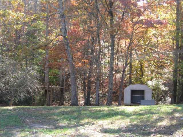 74 River Road Ringgold, GA 30736 - Photo 16 of 16 Additional Photo