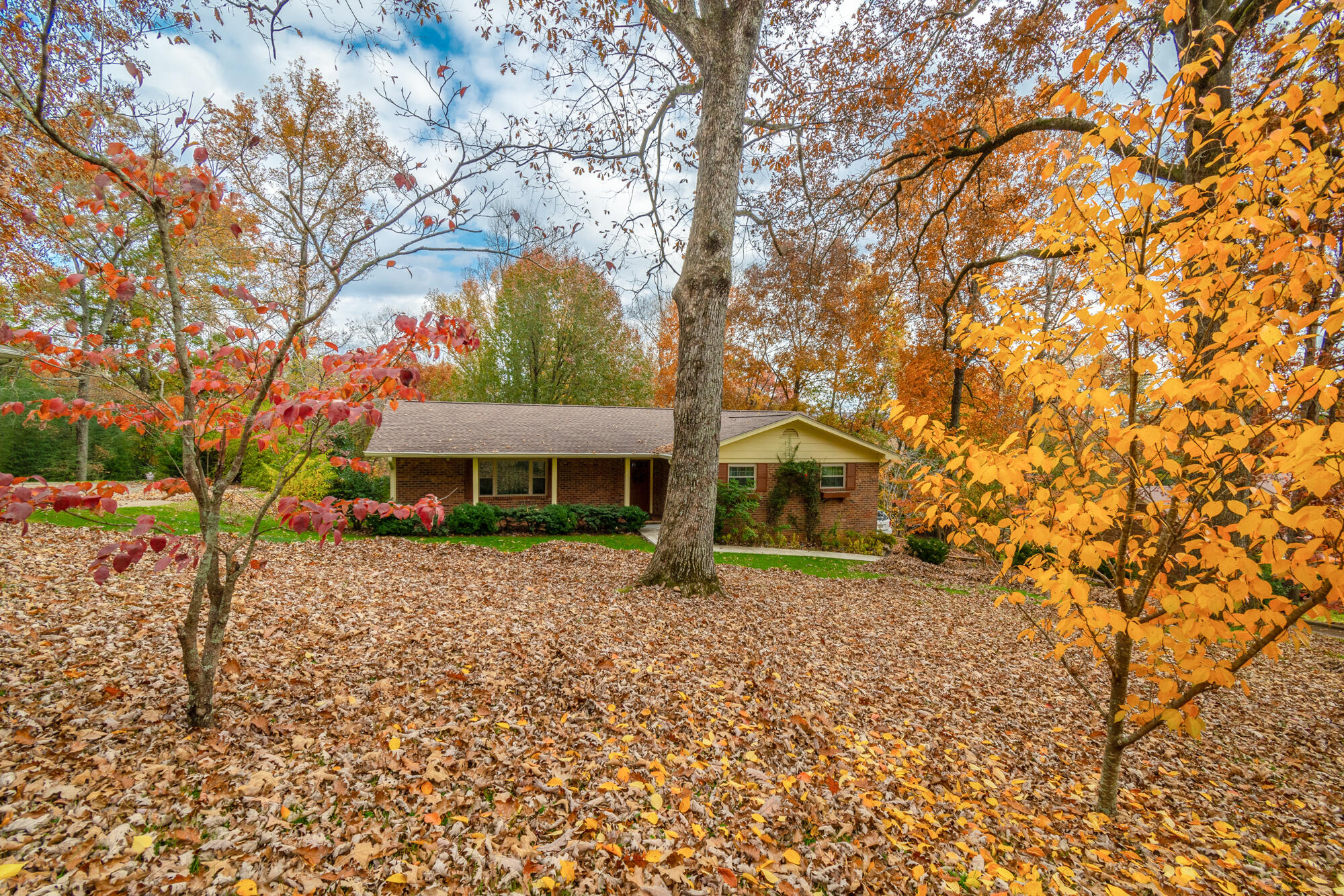 159 Brumby Road Flintstone, GA 30725 - Photo 54 of 54 159 Brumby Rd. HD-54