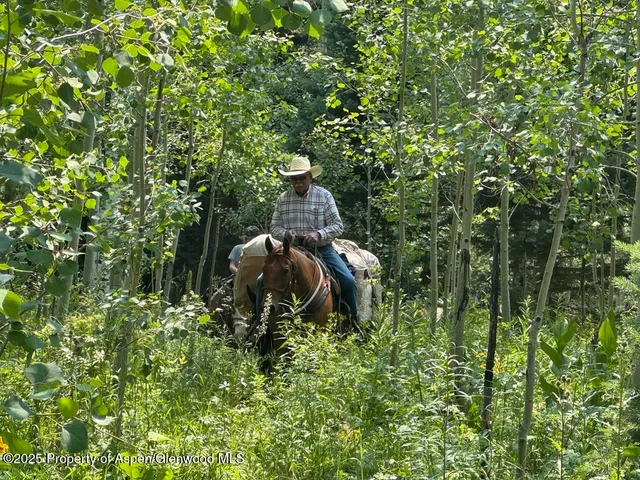 a view of a city with lots of trees