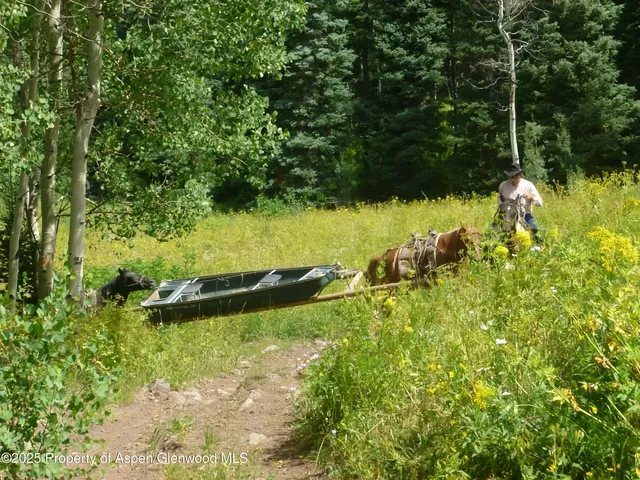 a view of a big yard