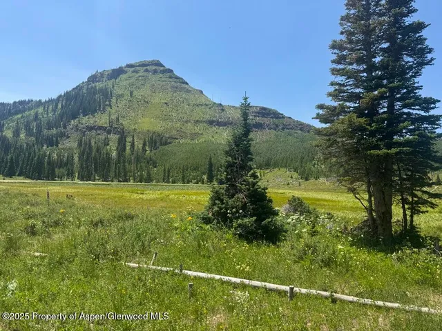 a view of a chair and table in the backyard