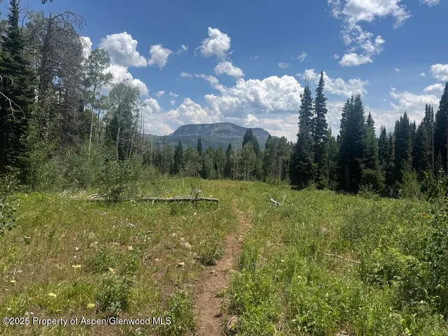 $1,400,000 | 6398 County Road 4, Meeker, CO 81641